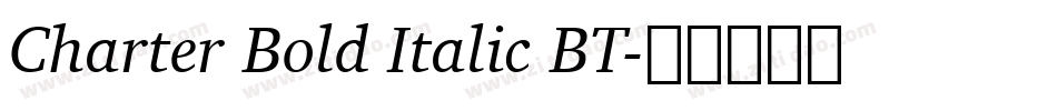 Charter Bold Italic BT字体转换
